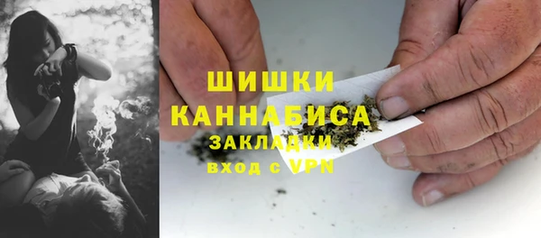 ПСИЛОЦИБИНОВЫЕ ГРИБЫ Костерёво