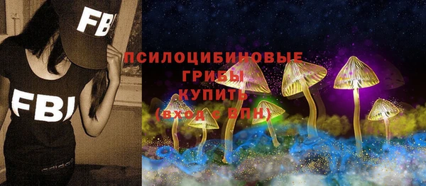 прущая мука Кадников
