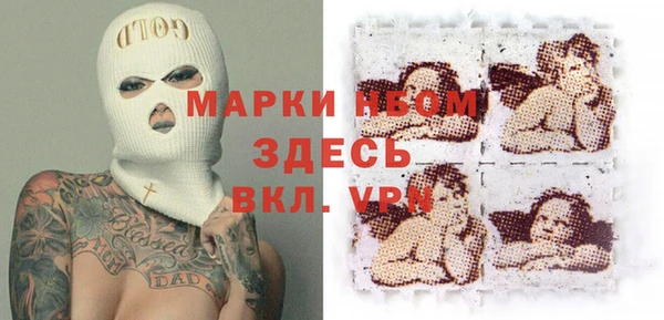 стаф Коряжма