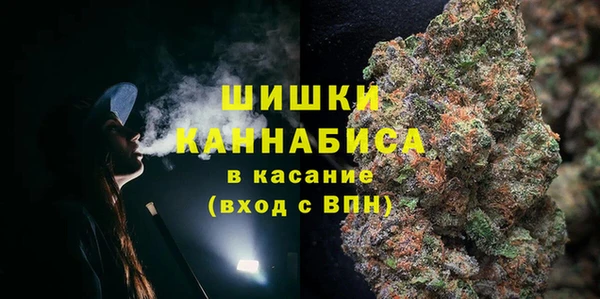 стаф Коряжма