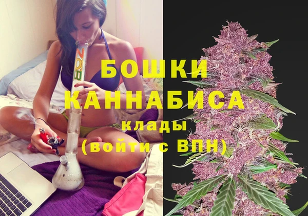 спайс Корсаков