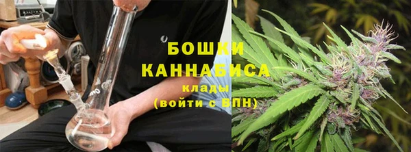 стаф Коряжма