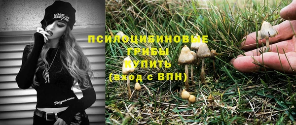 спайс Корсаков