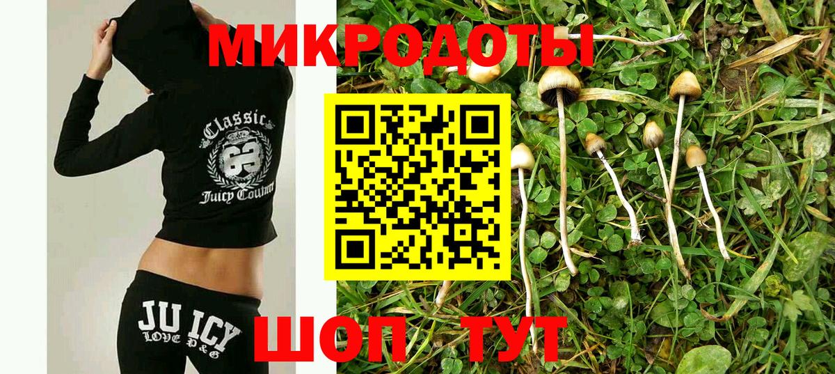 Псилоцибиновые грибы Psilocybe  Вход с VPN  Мурино 